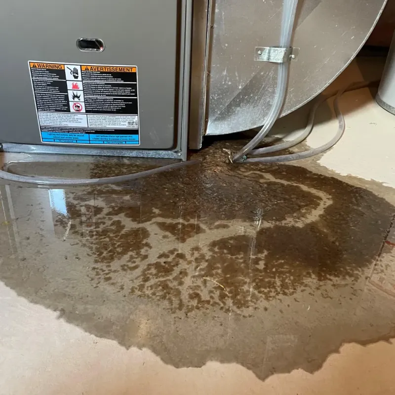 Appliance Leak Cleanup in Citrus County, FL